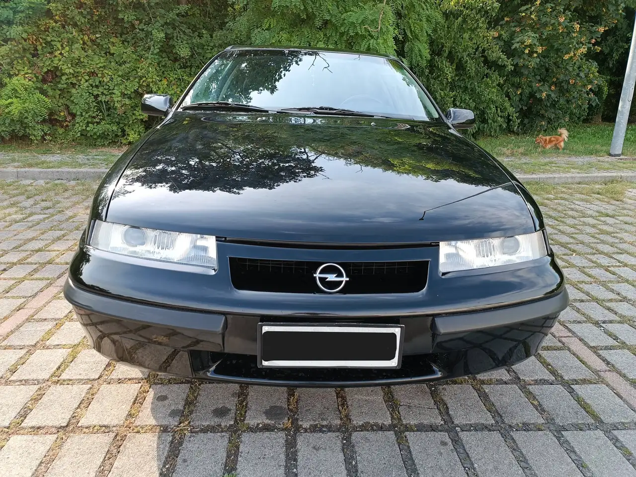 Opel Calibra, foto 4