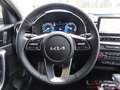 Kia XCeed 1.6 PHEV DCT6 PLAT 18 Zoll Navi Leder digitales Co Verde - thumbnail 12