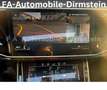 Audi SQ7 4.0 TDI Quattro/Matrix/7SITZ/NAV/KAM360/PANO Negro - thumbnail 19