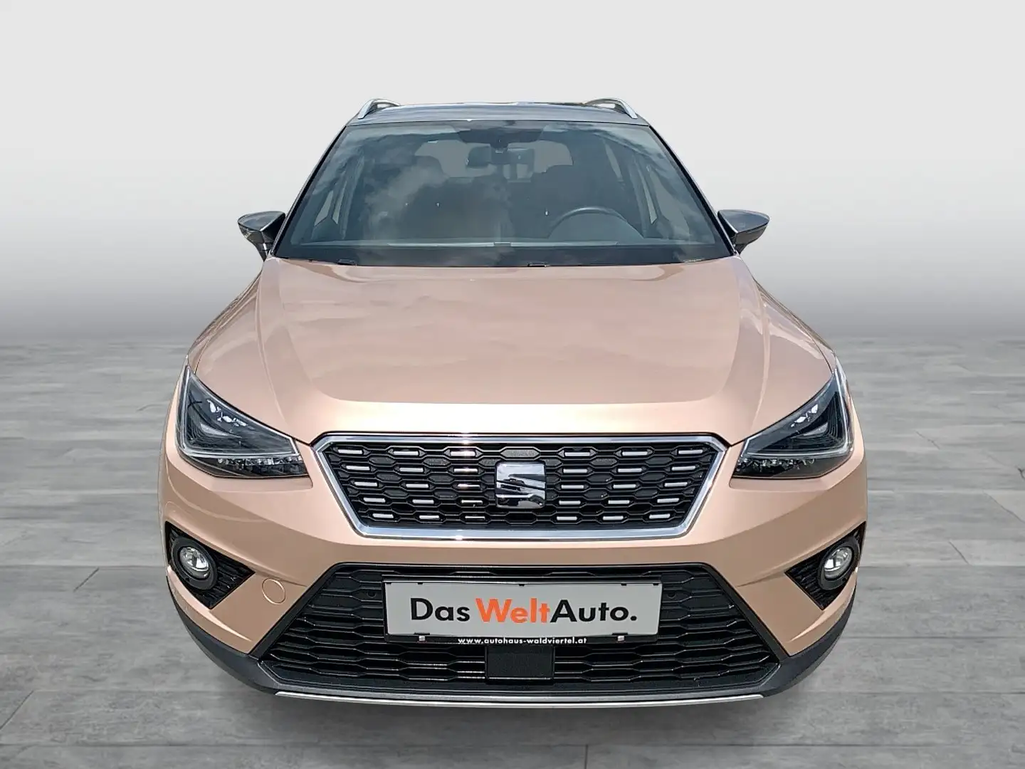 SEAT Arona Xcellence EcoTSI Bruin - 2
