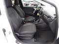 Ford Puma Titanium Mild-Hybrid 1.0l NAVI*ACC*PDC*CAM Weiß - thumbnail 10