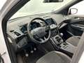 Ford Kuga 1.5 EcoBoost ST Line | Sony | Navigatie | Stoelver Wit - thumbnail 28