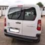 Toyota Proace City Meister L2 1,5-l D-4D 75 kW Klima MWSt ausweisbar Weiß - thumbnail 4