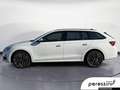 Skoda Sonstige ON 2.0 TDI SELECTION DSG Weiß - thumbnail 7