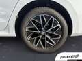 Skoda Sonstige ON 2.0 TDI SELECTION DSG Weiß - thumbnail 13