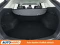 Mazda CX-5 2.5 Sports-Line 2WD Aut.*NAVI*ACC*CAM*PDC*SHZ*BOSE Schwarz - thumbnail 17