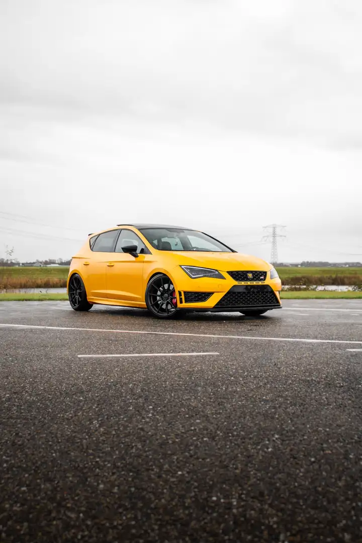 SEAT Leon Seat leon Cupra 280 Giallo - 1