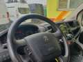 Peugeot Boxer DK Pritsche L3 NETTO 16.500.- Ohne Anzahlung 439.- Weiß - thumbnail 6