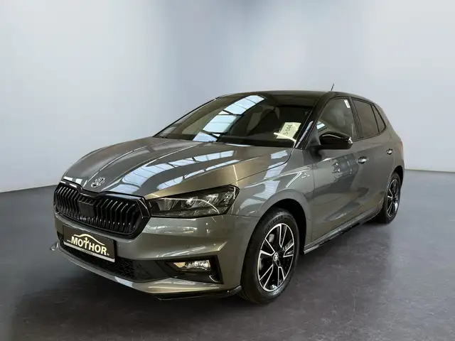 Skoda Fabia view 2
