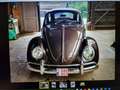 Oldtimer Volkswagen COX Braun - thumbnail 6
