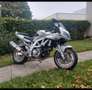 Suzuki SV 650 Ezüst - thumbnail 8