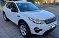 Land Rover Discovery Sport Discovery Sport 2.0 td4 Pure 150cv Bianco - thumbnail 1