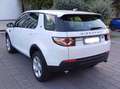 Land Rover Discovery Sport Discovery Sport 2.0 td4 Pure 150cv Bianco - thumbnail 3
