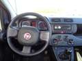 Fiat Panda Panda 1.0 FireFly S&S Hybrid - thumbnail 12