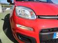 Fiat Panda Panda 1.0 FireFly S&S Hybrid - thumbnail 5