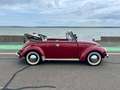 Volkswagen Coccinelle 1302 Or - thumbnail 7