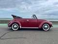 Volkswagen Coccinelle 1302 Or - thumbnail 8