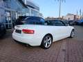 Audi A5 1.8 TFSI* s-line*Automatik*Leder*Scheckheft gepf. Weiß - thumbnail 5