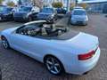 Audi A5 1.8 TFSI* s-line*Automatik*Leder*Scheckheft gepf. Weiß - thumbnail 7