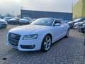 Audi A5 1.8 TFSI* s-line*Automatik*Leder*Scheckheft gepf. Weiß - thumbnail 3