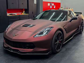 Stingray