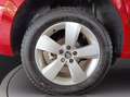 Skoda Kamiq 1.0 tsi selection 115cv dsg Rosso - thumbnail 14
