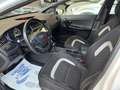 Kia Ceed / cee'd 1.6 crdi GT Line 136cv dct PER SOLI COMMERCIANTI-  Bianco - thumbnail 8