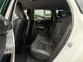 Volvo XC60 Summum 2WD | Vollleder Weiß - thumbnail 22