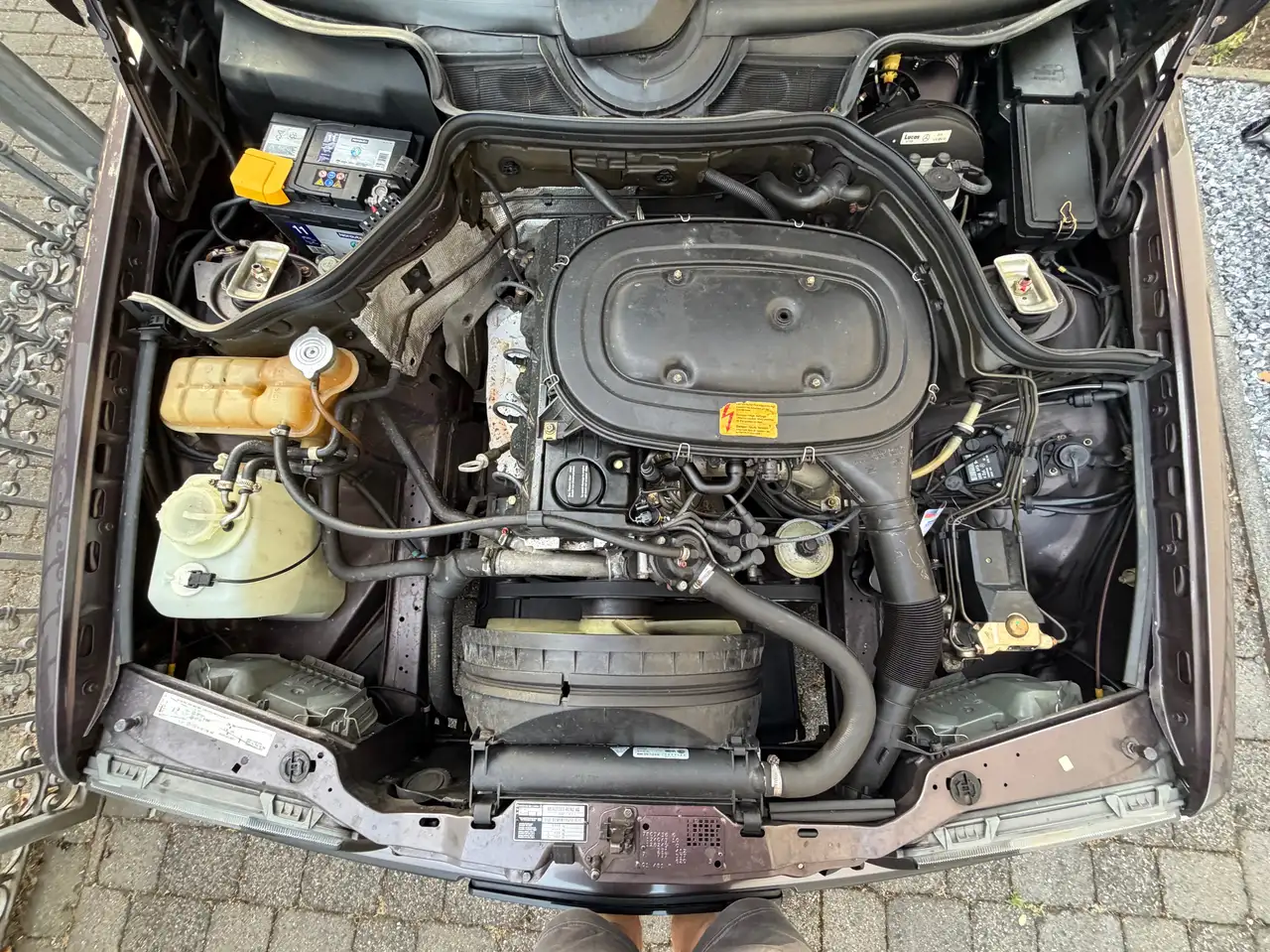 Mercedes-Benz CE 230 Mit SEC Motorhaube, foto 12
