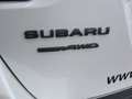 Subaru OUTBACK 2.5i EXCL. CROSS*4X4*-6.482€*AHK ABNEHMBAR 2.2T Weiß - thumbnail 9