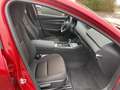 Mazda 3 M Hybrid Selection mit Desgin- und Premium-Paket Red - thumbnail 7