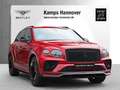 Bentley Bentayga Hybrid S *NAIM*Carbon Styling* Rot - thumbnail 3