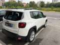 Jeep Renegade Renegade 1.0 t3 Limited 2wd Bianco - thumbnail 6