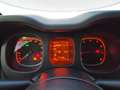 Fiat Panda 1.0 hybrid City Cross s&s 70cv Bianco - thumbnail 10