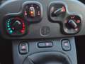 Fiat Panda 1.0 hybrid City Cross s&s 70cv Bianco - thumbnail 12