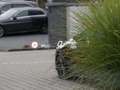 Mercedes-Benz GLE 450 d 4M Pano/Burm/Airm/AHK/HUD/360/Memo/Dis Schwarz - thumbnail 18