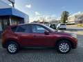 Mazda CX-5 2.0 TS+ 165PK Leder•Navi•Trekhaak Rood - thumbnail 6