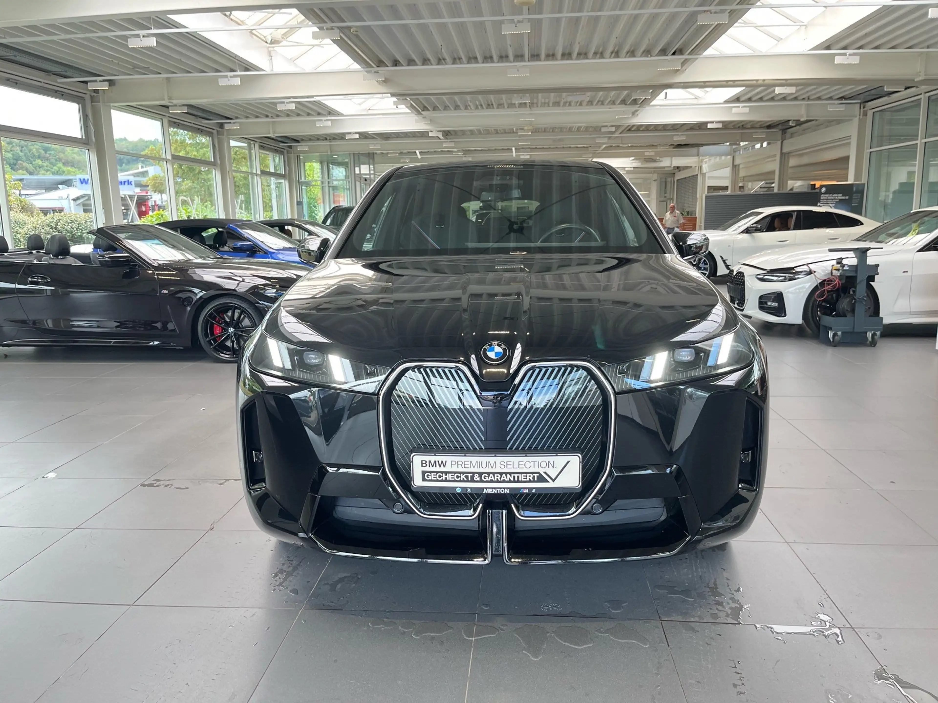 BMW iX xDrive45 M Sportpaket AHK/Soft-Close/Harman/Massag — photo 4