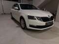 Skoda Octavia 1.6 TDI DPF Ambition Blanc - thumbnail 3