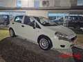 Fiat Punto 1.2 8V 5 porte Blanc - thumbnail 3