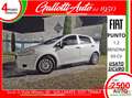 Fiat Punto 1.2 8V 5 porte Blanc - thumbnail 1