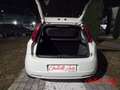 Fiat Punto 1.2 8V 5 porte Blanc - thumbnail 15