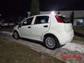 Fiat Punto 1.2 8V 5 porte Blanc - thumbnail 7