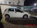 Fiat Punto 1.2 8V 5 porte Blanc - thumbnail 4