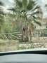 Mercedes-Benz C 250 Estate 9G-Tronic Blanco - thumbnail 24