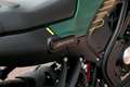 Benelli Leoncino 125, sofort lieferbar Green - thumbnail 14