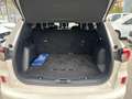 Ford Kuga ST-Line 2.5 Duratec PHEV 165kW Auto 225CV Blanco - thumbnail 7