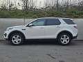 Land Rover Discovery Sport 2.0 TD4 Pure*CUIR*CLIM*NAVI*TOIT PANO* Blanc - thumbnail 2