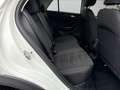 Volkswagen T-Roc 1.5 TSI DSG Style *Navi* Weiß - thumbnail 13