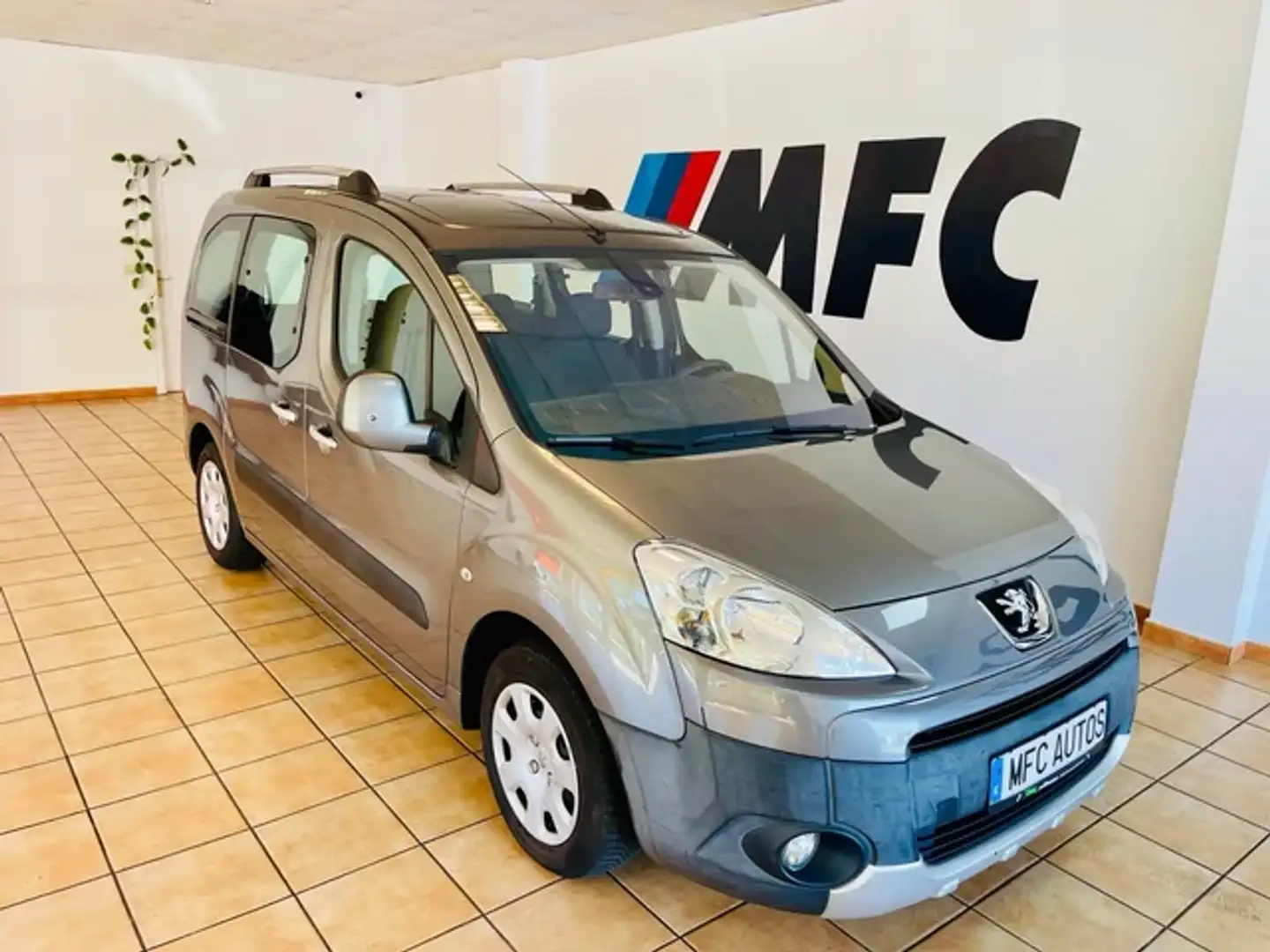 Peugeot Partner Tepee 1.6HDI Premium 110 Argent - 1